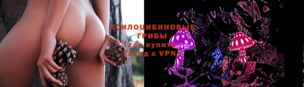 крисы Алексеевка