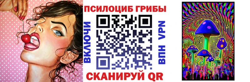 где можно купить Саянск hydra вход Галлюциногенные грибы прущие грибы